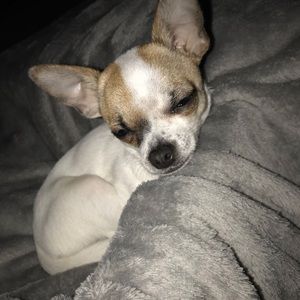 Meet your Posher, Raquel